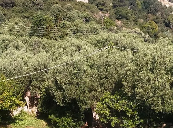 Galanis