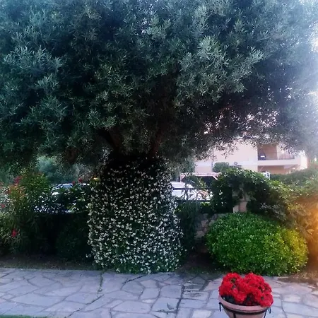 Apartment Galanis *