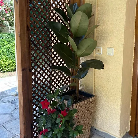 Apartment Galanis