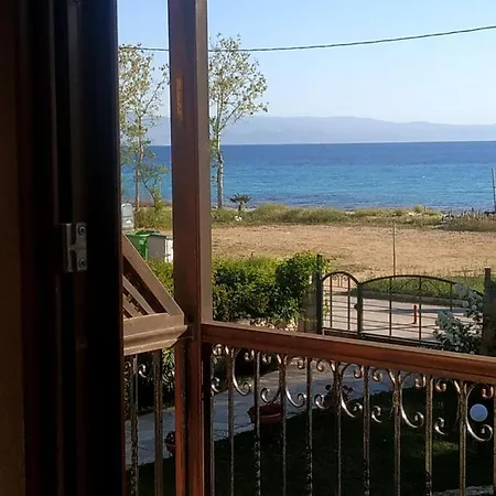 Galanis * 아피토스